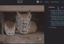 Eyeguard extension for Firefox to prevent eye strain Facebook in Night Mode