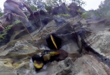 The Last Death-Defying Honey Hunter of Nepal in 360° Video Nepali honey hunters