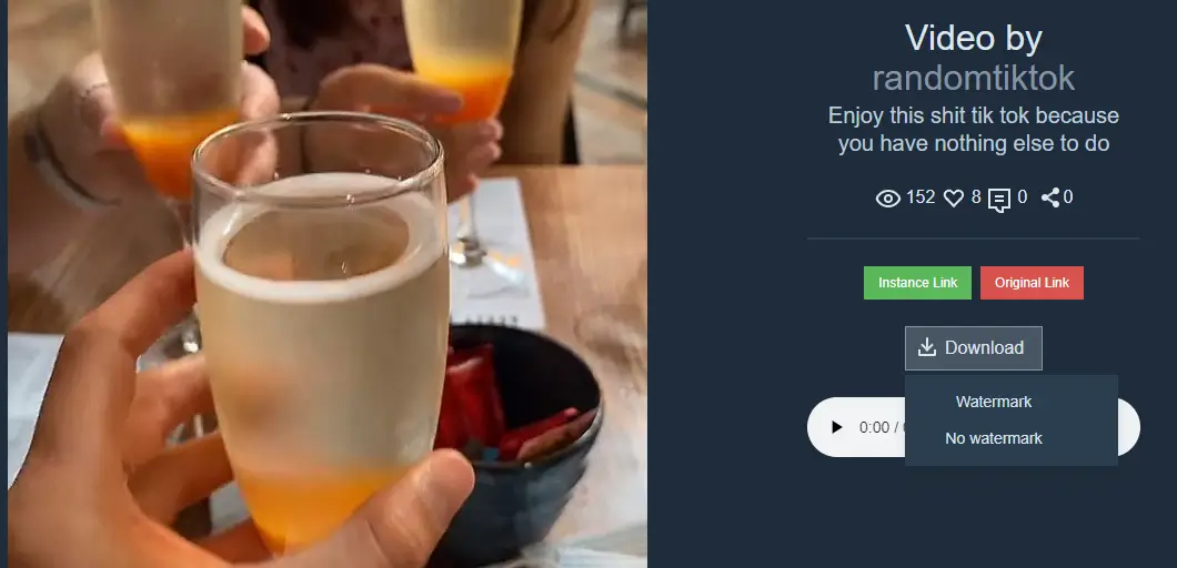 Download interface screenshot for Proxitok to download Tiktok videos