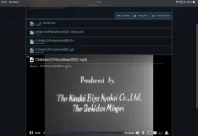 Download or Stream Torrent on iOS devices (iPhone/iPad) Stream torrent movies on iOS devices (iPhone/iPad)