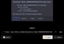 Download Instagram, TikTok and other videos without watermark
