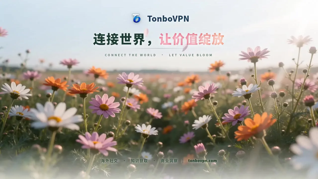 付费 VPN 怎么选?住宅IP、原生IP、VPS 与人工支持看这几项