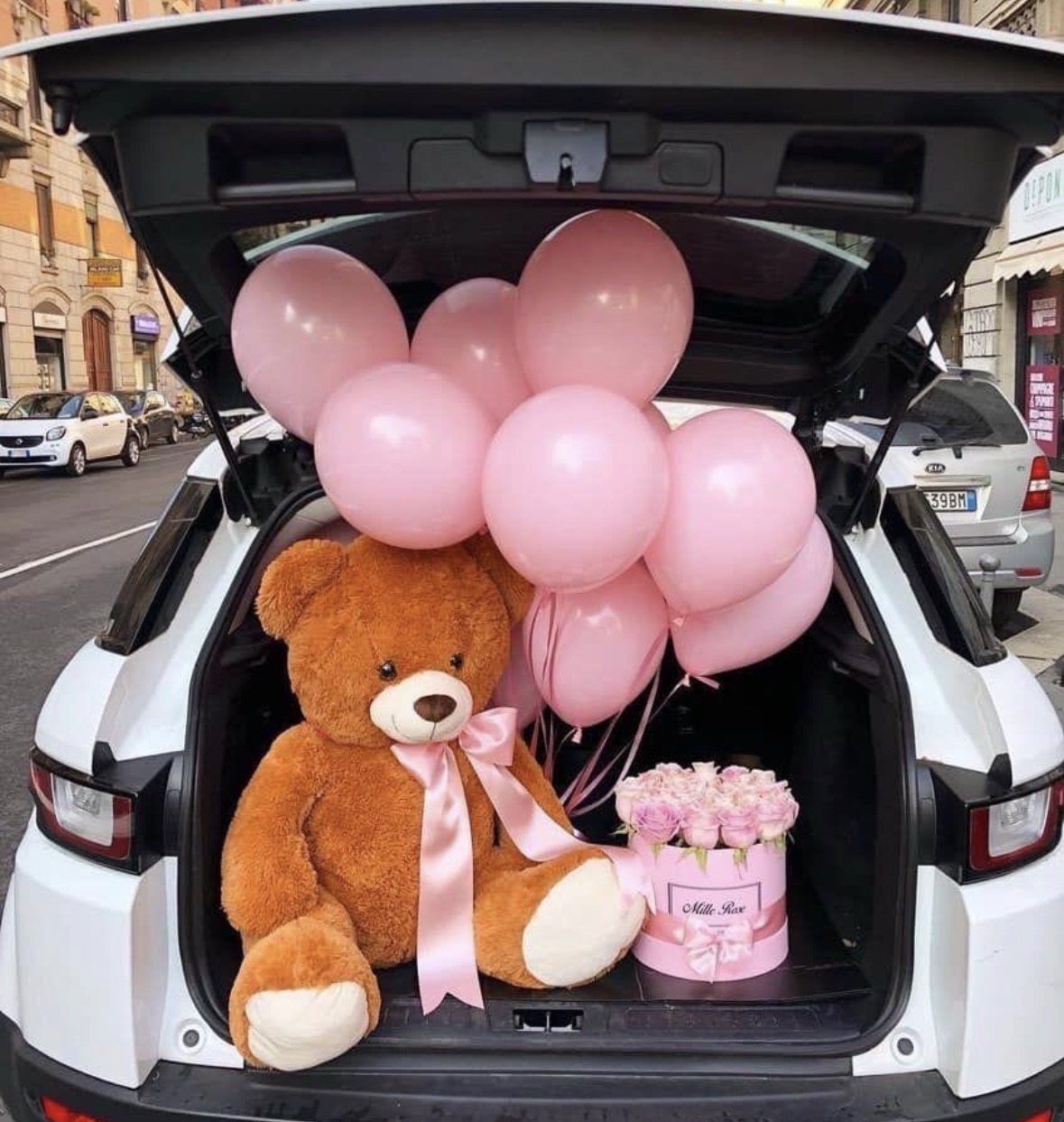 Peluche 🧸