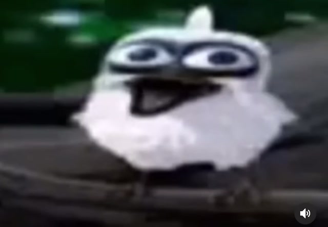 Shoting Bird meme template variant 1