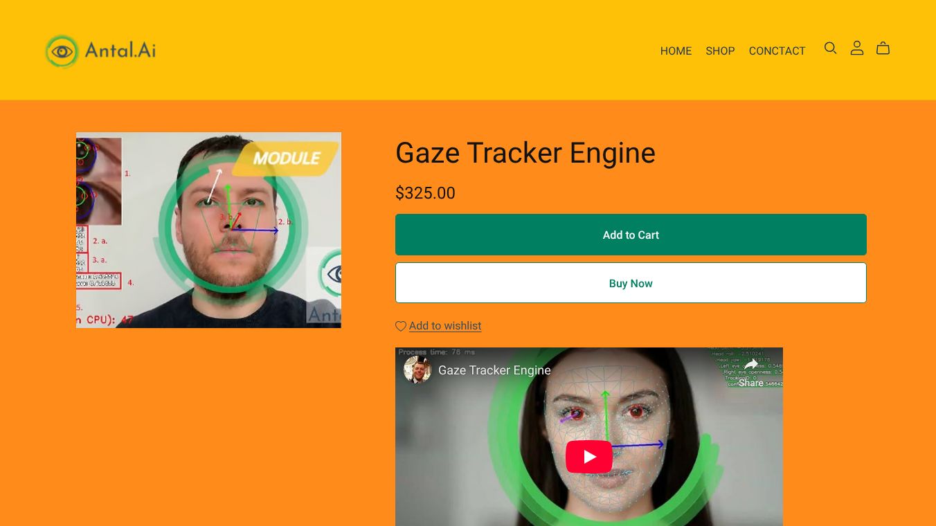 Antal.Ai Eye Gaze Tracker
