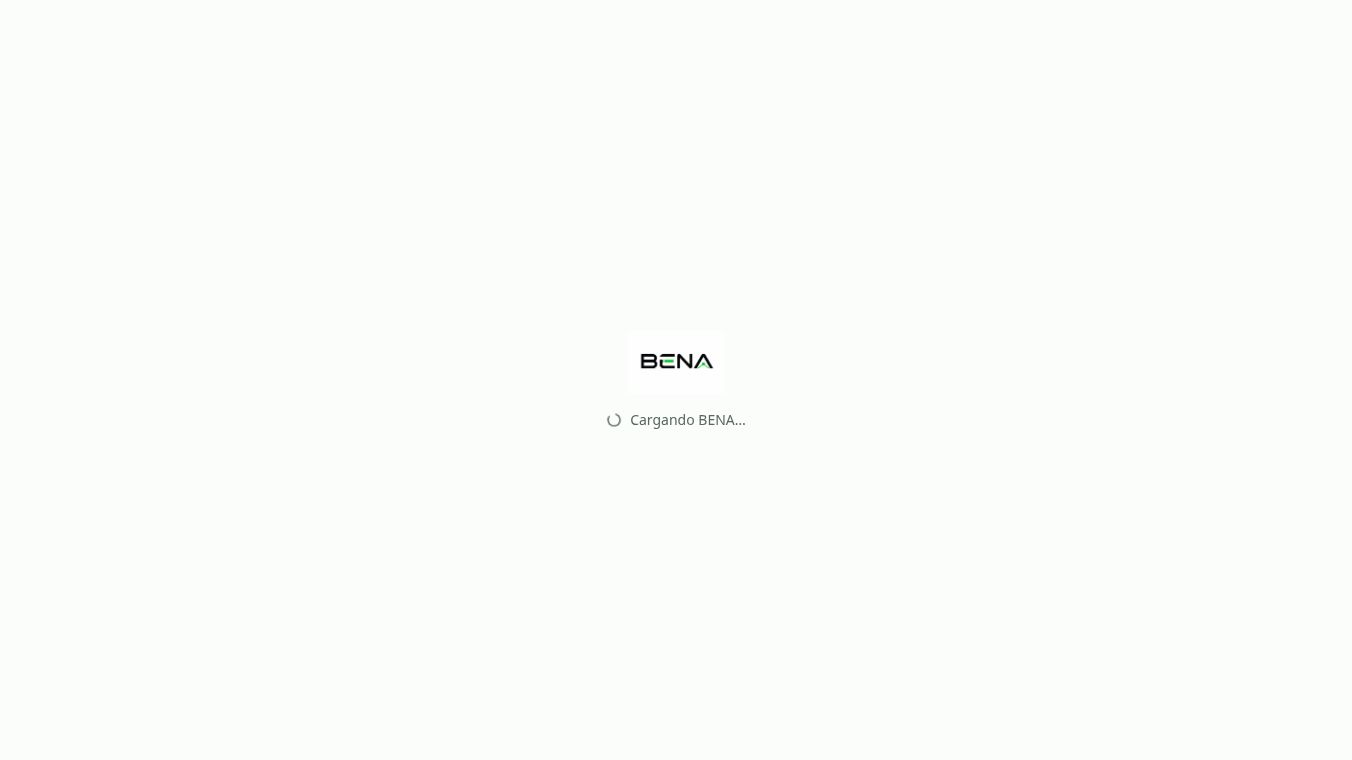 BENA — Your AI Business Partner
