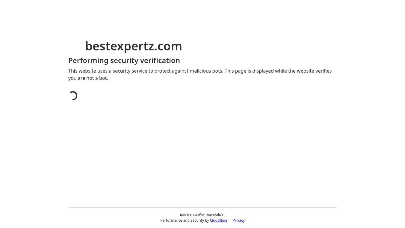 bestexpertz