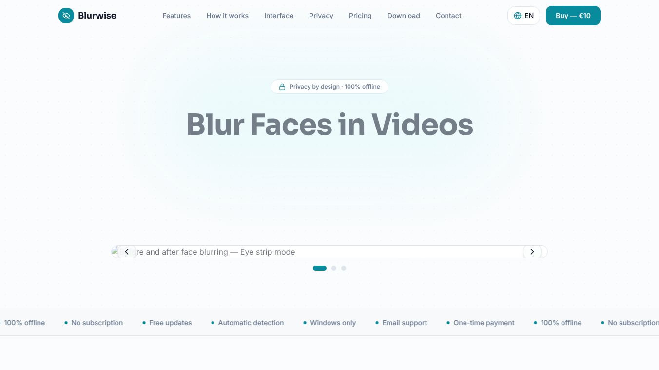 Blurwise: Offline Face Blur