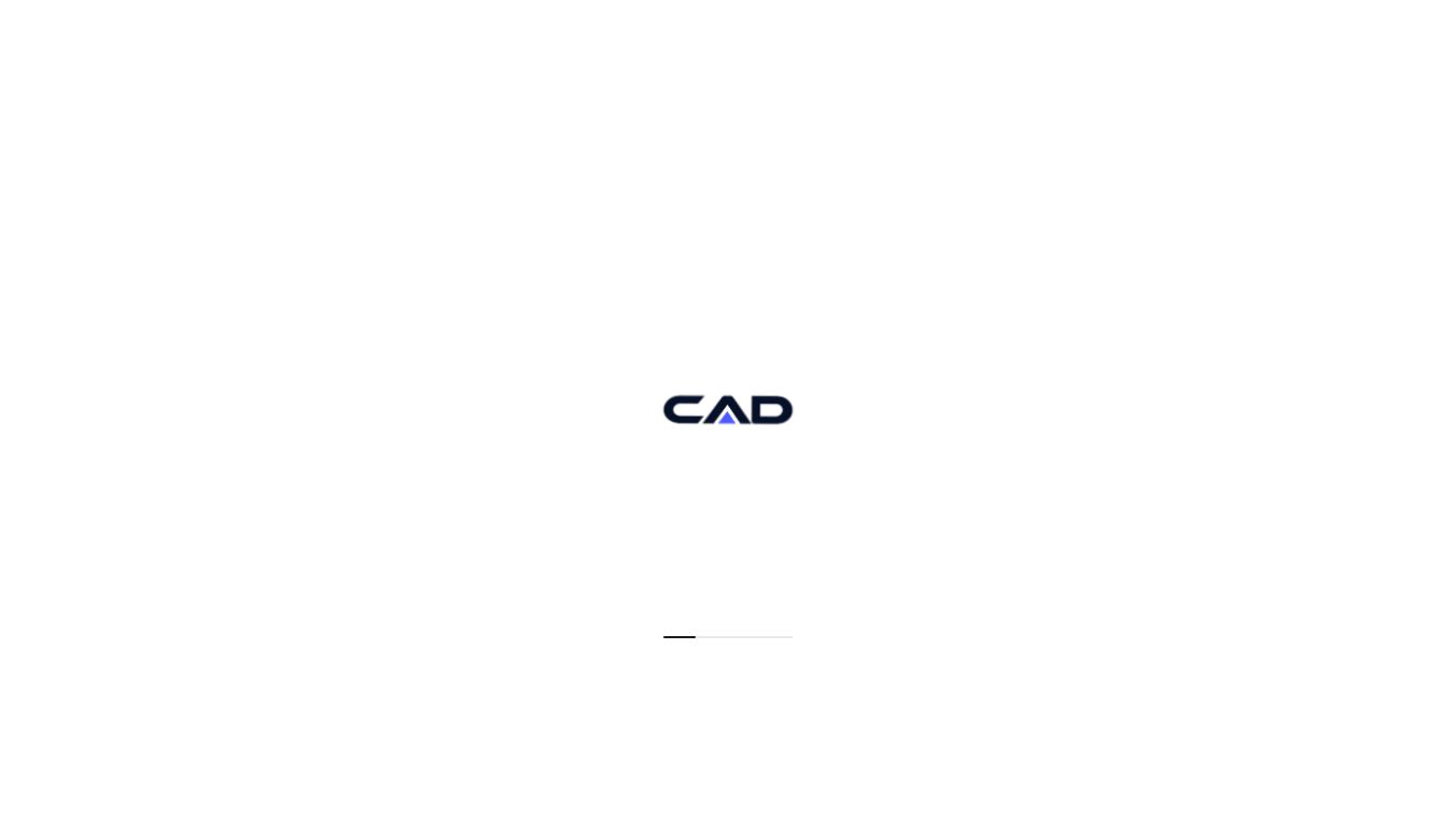CAD — Customer Action Data