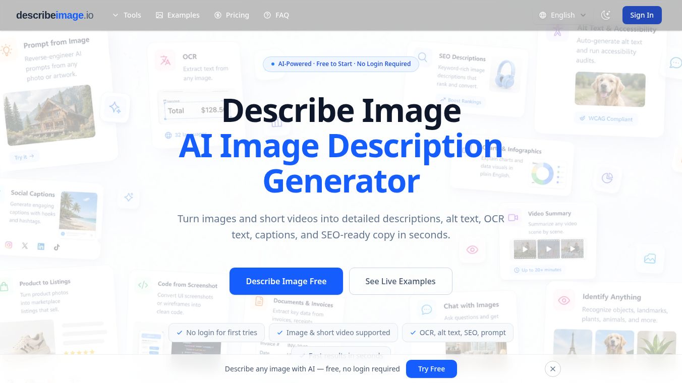 Describe Image