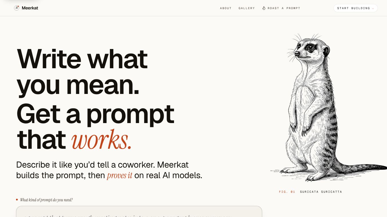 Meerkat
