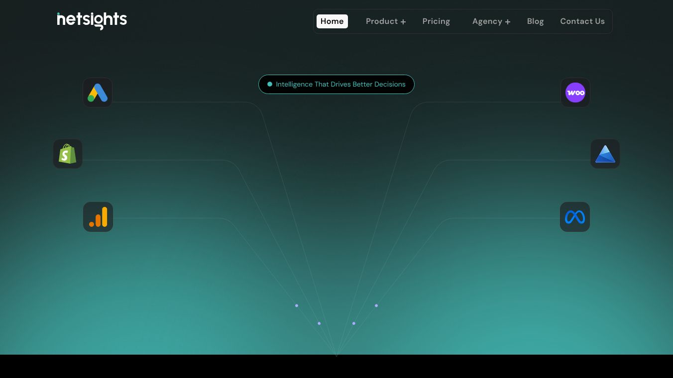netsights.ai