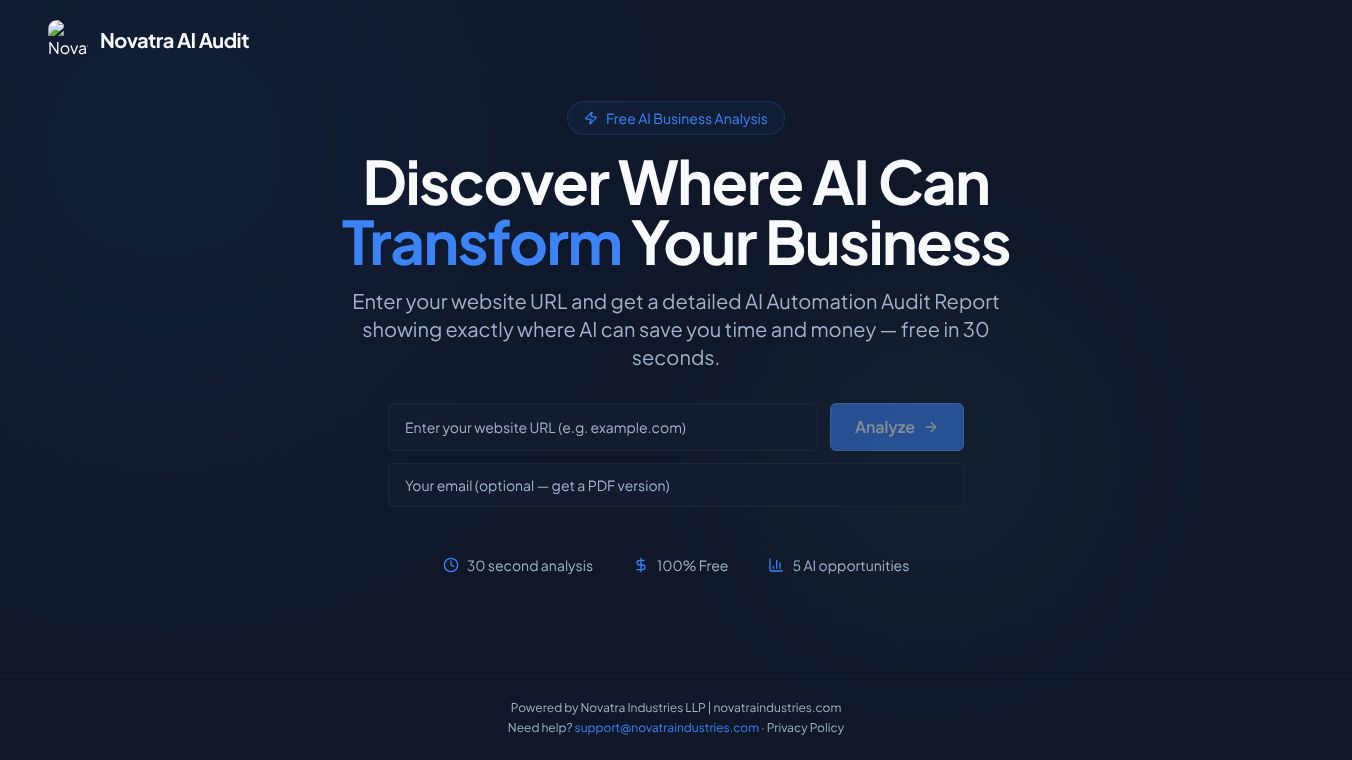 Novatra AI Business Audit Tool