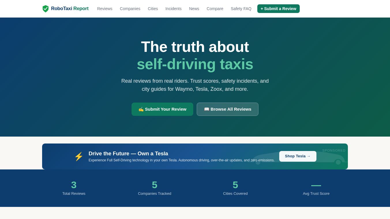 RoboTaxi Report