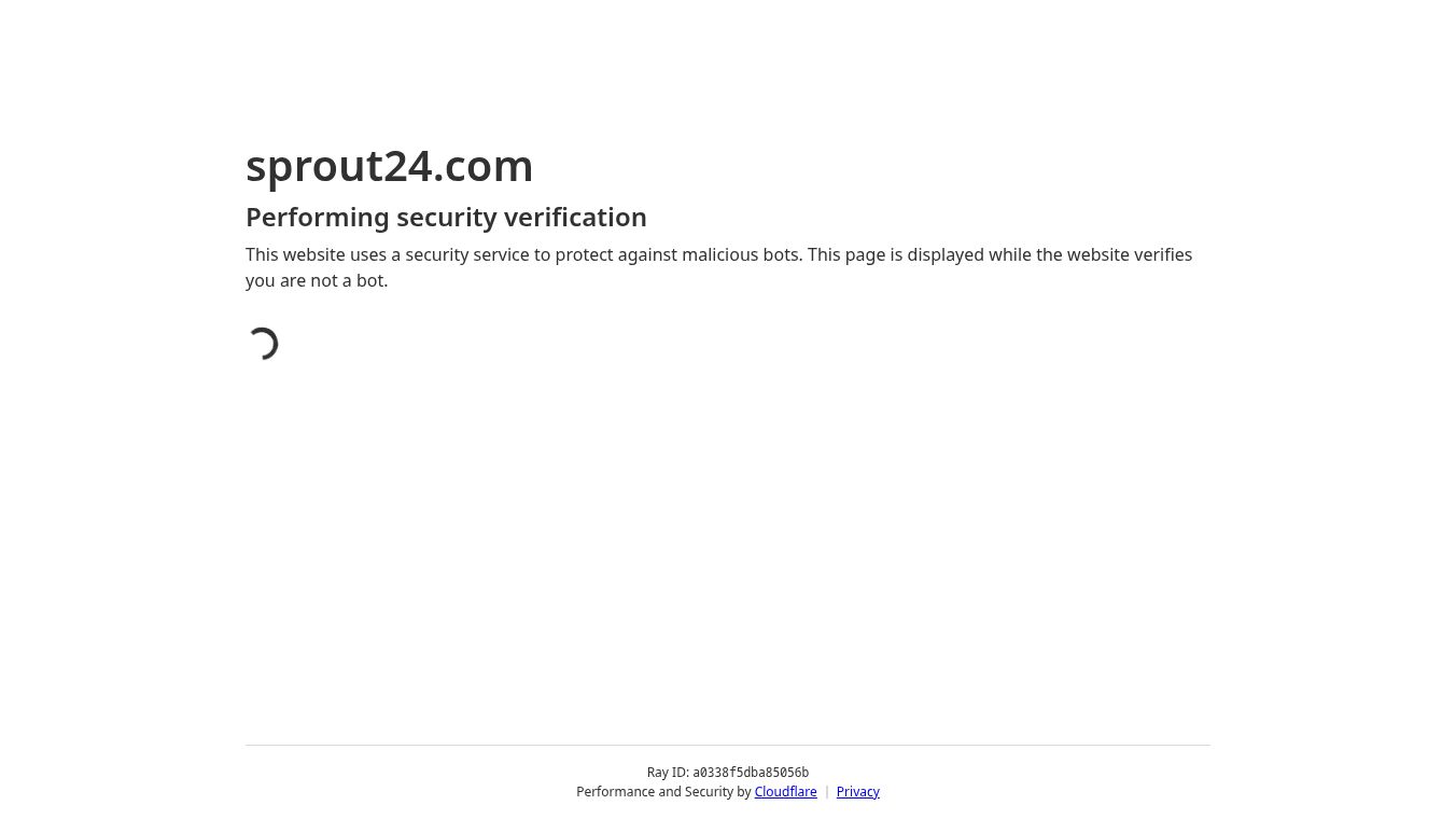 Sprout24
