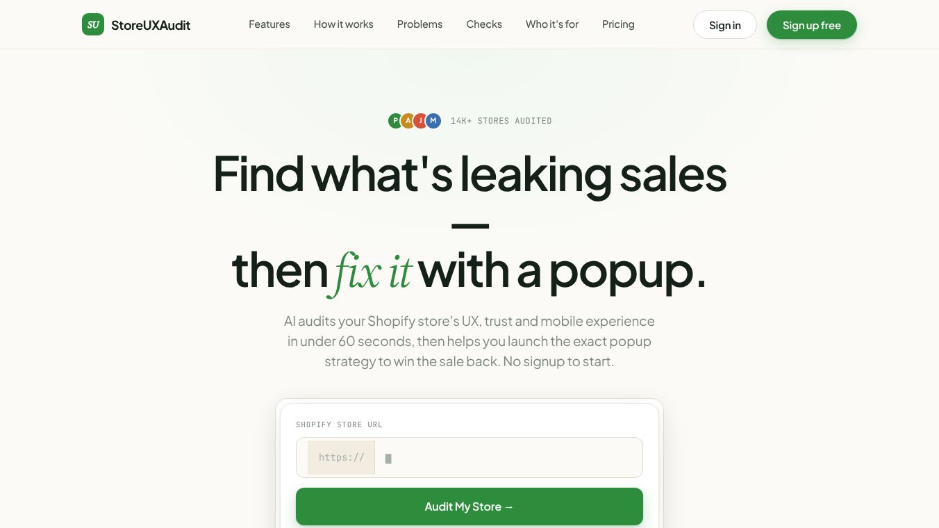 Store UX Audit