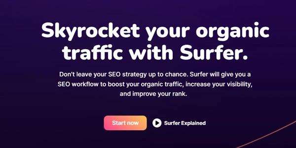 Surfer Seo