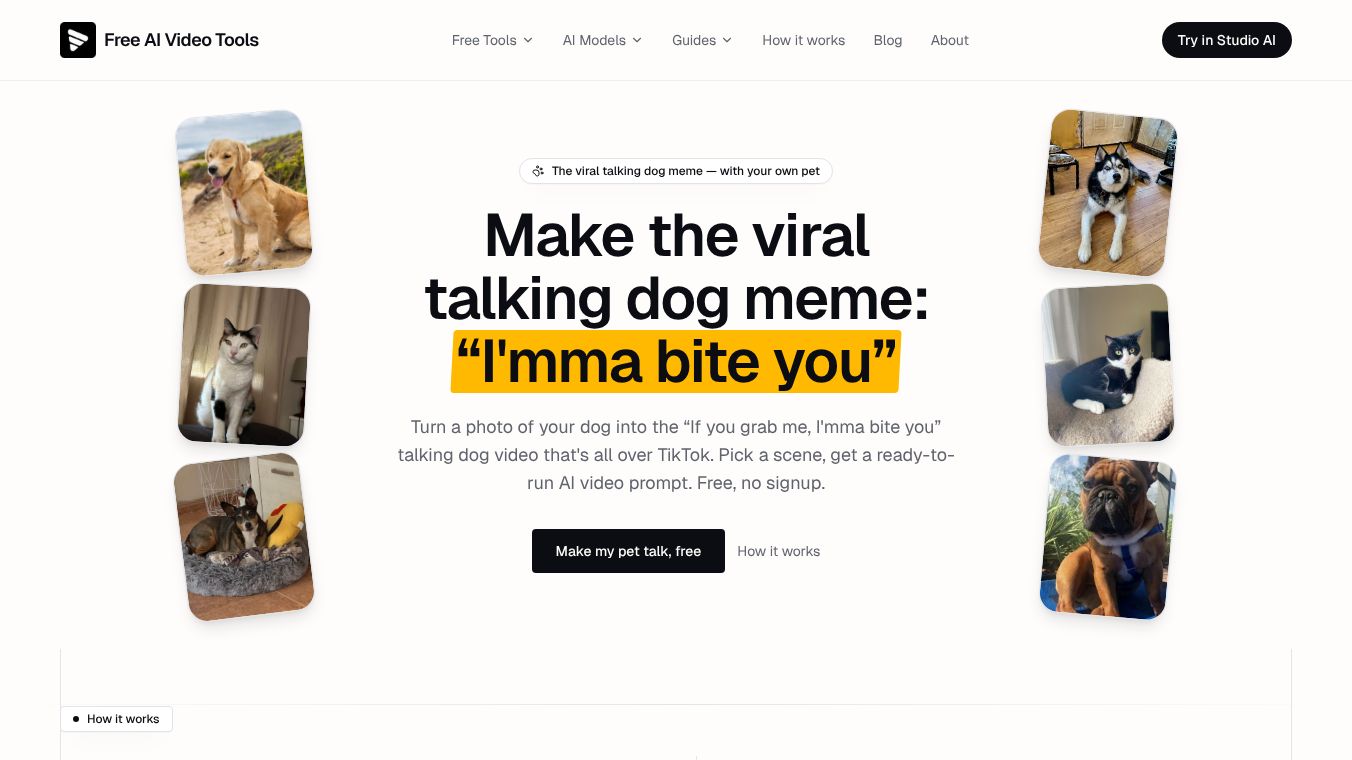 Talking Pet Video Prompt Generator