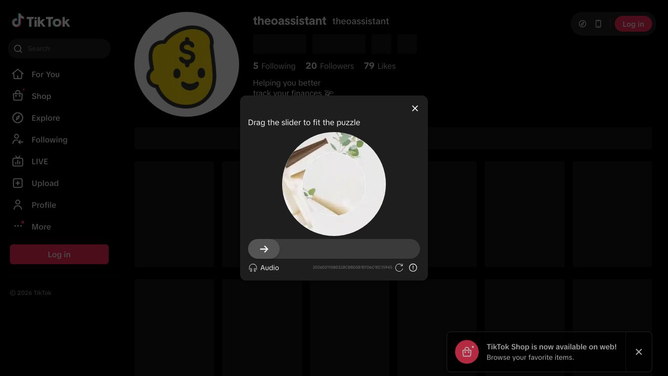 Theo Financial Assistant