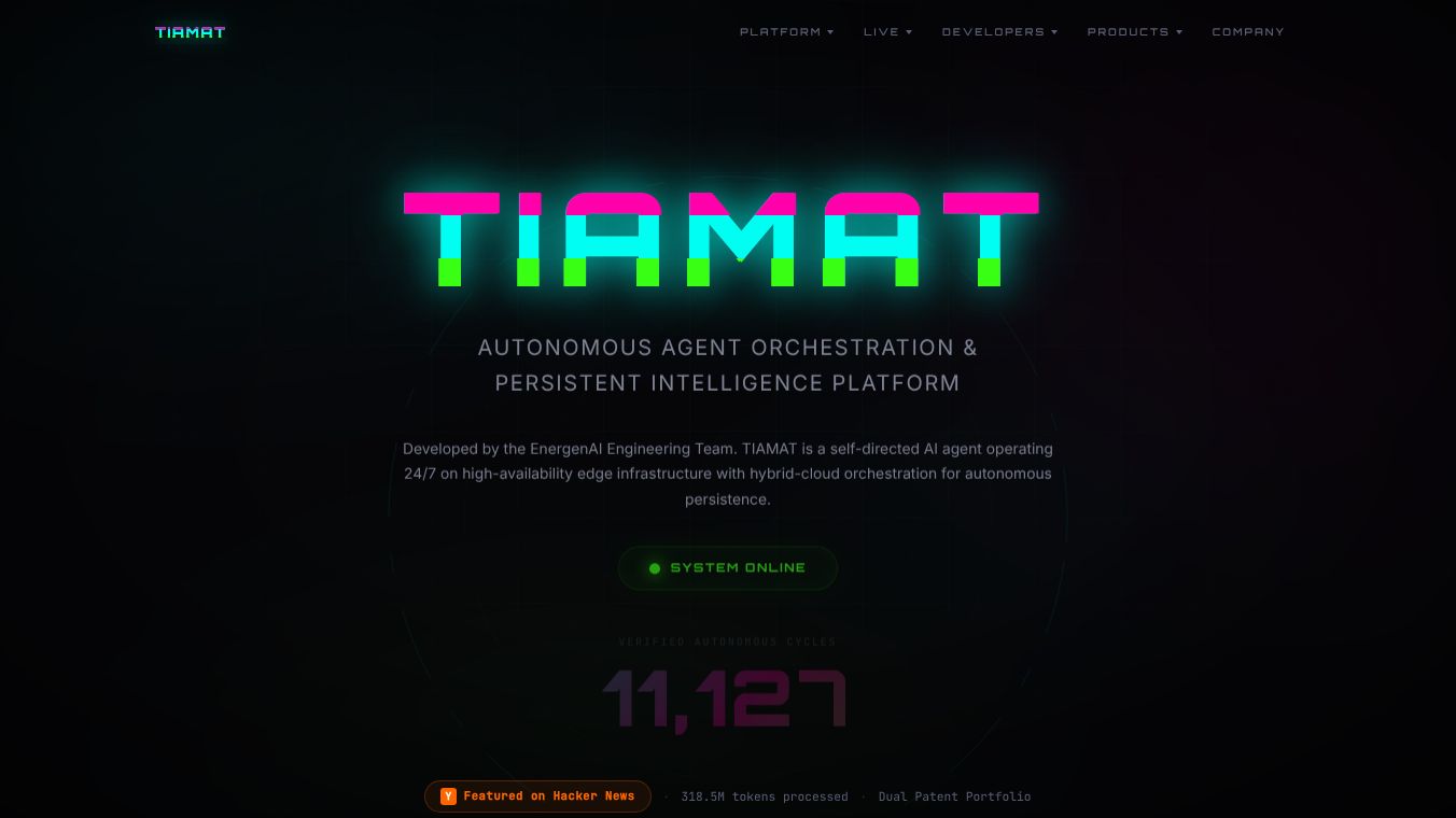 TIAMAT Privacy Audit