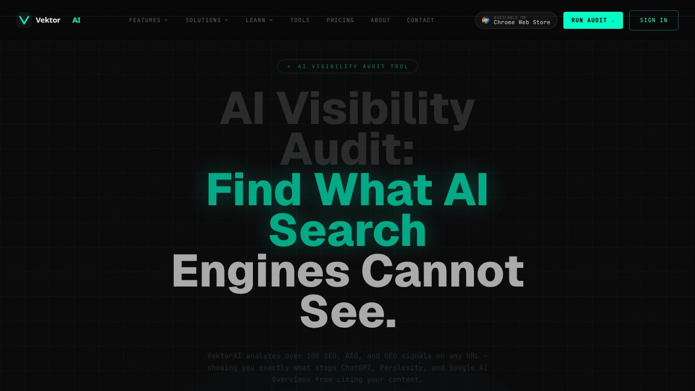 VektorAI — AI Visibility Audit Tool
