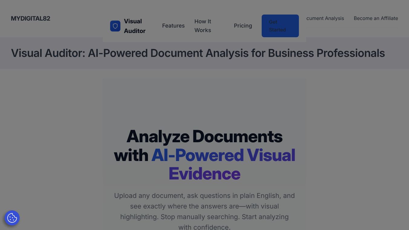 Visual Auditor
