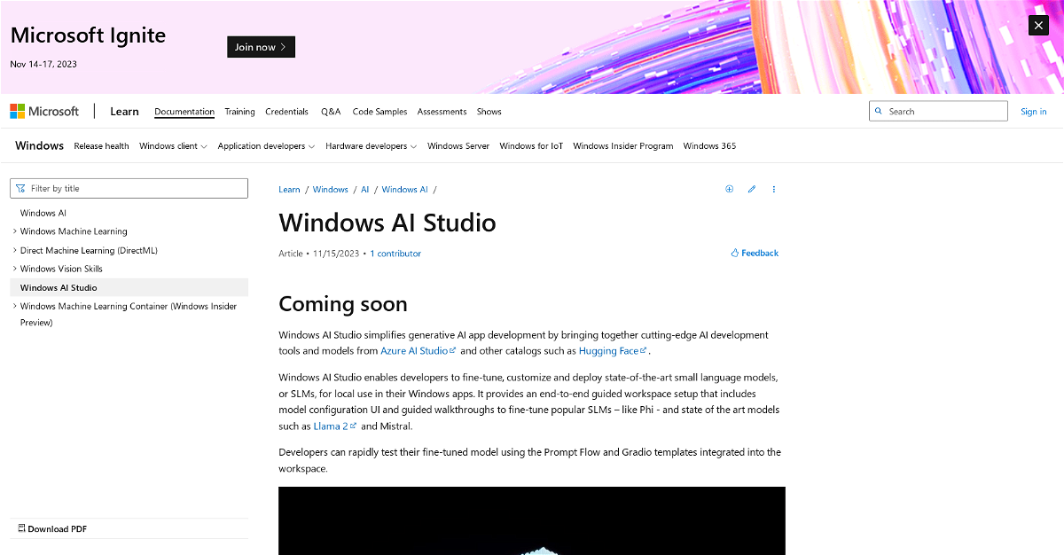 Windows AI Studio