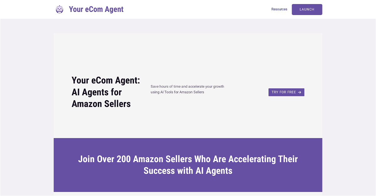 Your eCom Agent