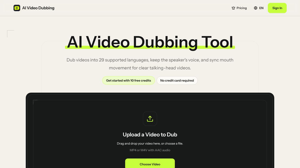 AI Video Dubbing