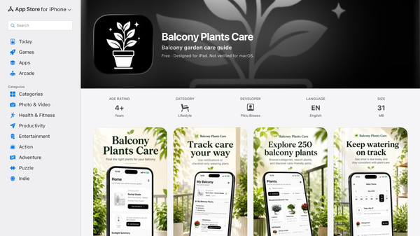 Blacony plants care recomedation