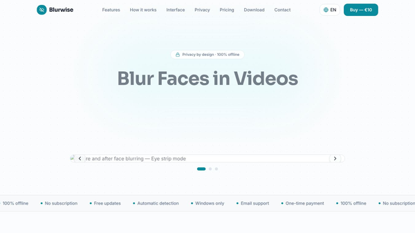 Blurwise: Offline Face Blur