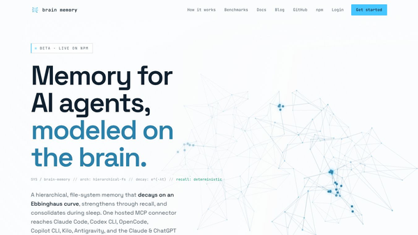 Brain Memory
