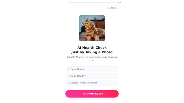 CatsMe 2.0 – AI Cat Health from a Photo