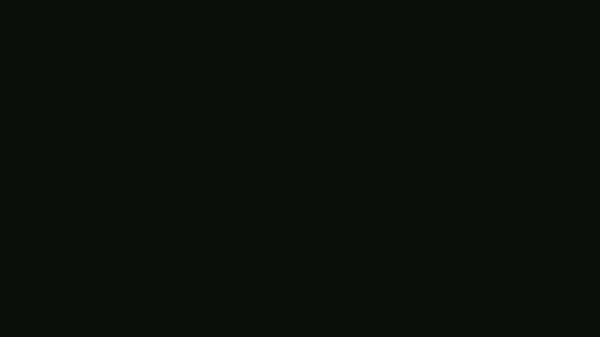 CricCut — Cricket Highlight Reel