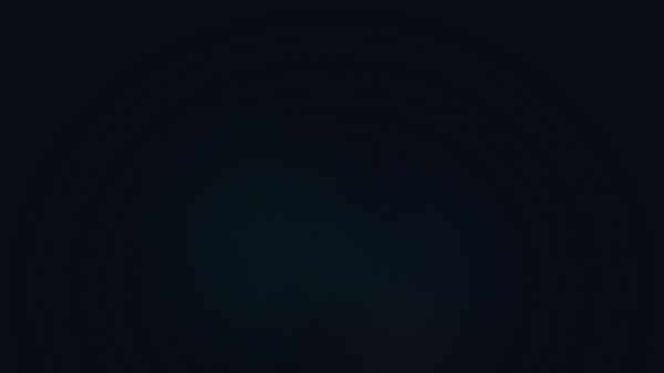 Everything Bot