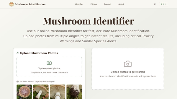 Mushroom Identification