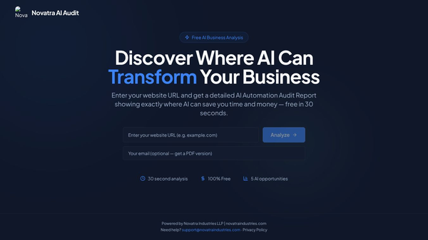 Novatra AI Business Audit Tool