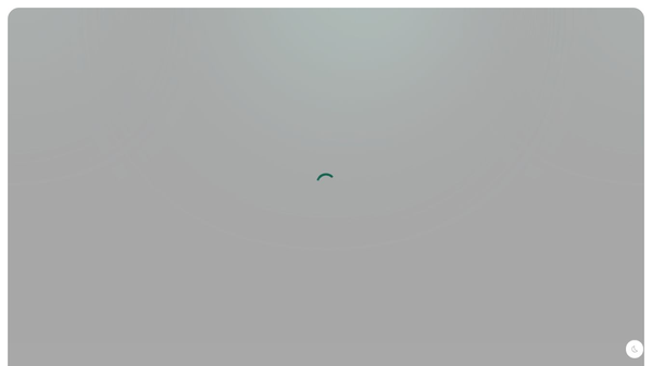 Orfolio AI