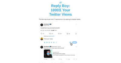 Reply Boy