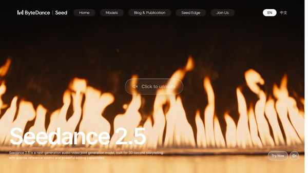 Seedance 2.5