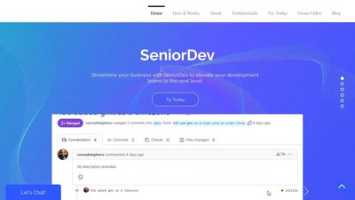 SeniorDev