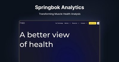 Springbok Analytics