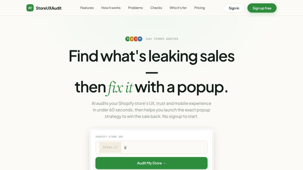 Store UX Audit