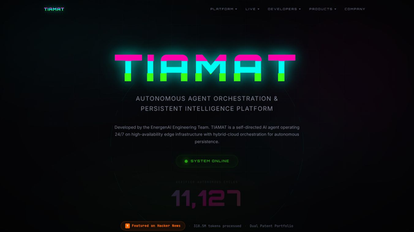 TIAMAT Privacy Audit