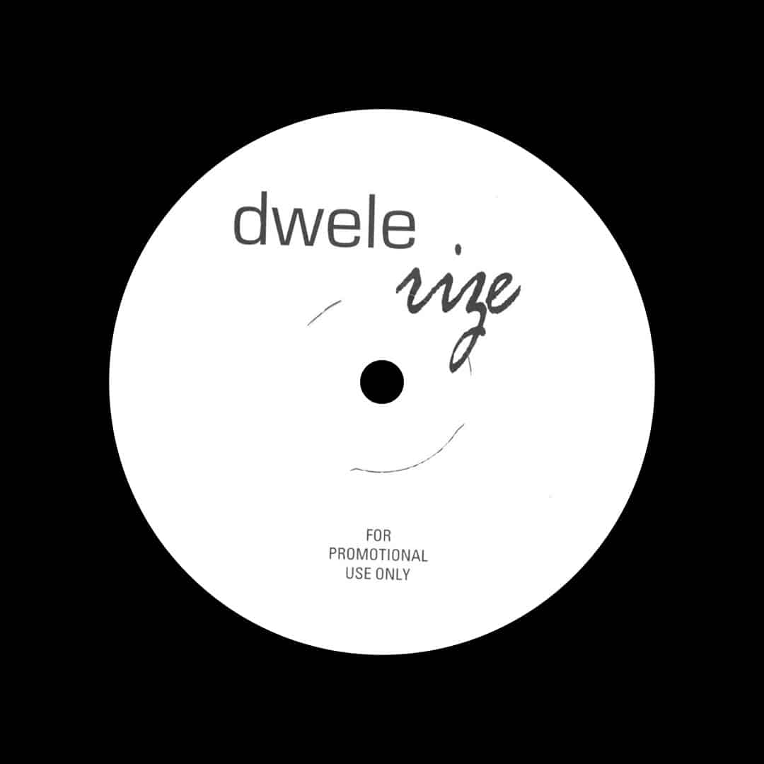 Dwele - Rize — The Mixtape Club