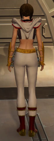 Dimity_Investigator-back