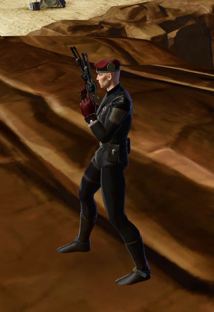 Ocelot-Bastion-3a