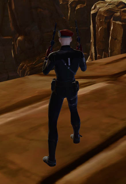 Ocelot-Bastion-4a