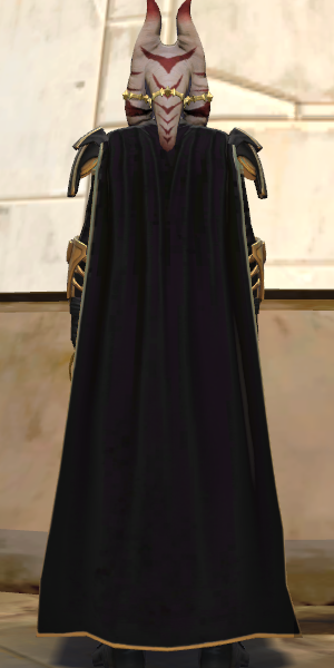 Shin_back