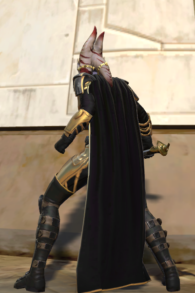 Shin_left_ready